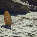 Zomer? Houd je laptops beschermd tegen vakantievirussen! Zomer? Houd je laptops beschermd tegen vakantievirussen!